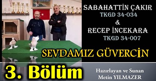 sevdamız güvercin