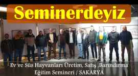 seminerdeyiz