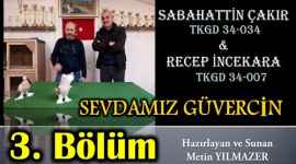 sevdamız güvercin