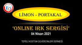 Limon ve Portakal