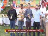 1.Sakarya Tepeli Kostüm Güvercinleri Festivali-2017 1.Sakarya Tepeli Kostüm Güvercinleri Festivali-2017